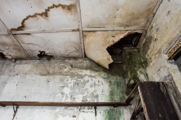 Water Damage Service in Coeur D Alene