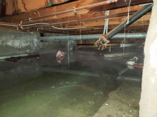Water Mitigation Service in Coeur D Alene
